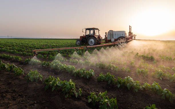 Lawn Pest Control in Pecan Acres, TX